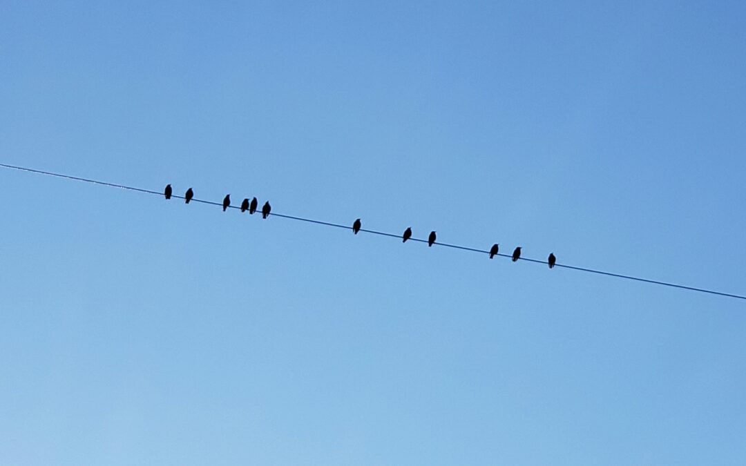 U.S. Mid-Caps in Context: Putting Growth and Valuations in Perspective